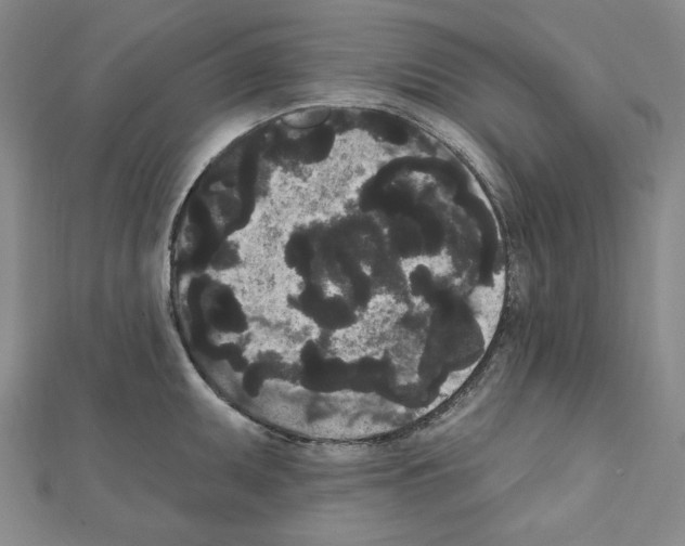 X0000111461095200908241314