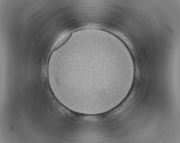 X0000111461097200908241314