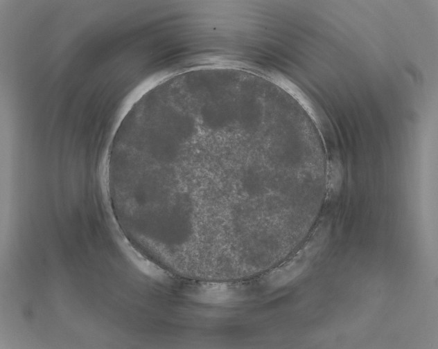 X0000111461098200908241314