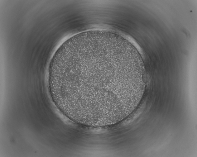X0000111461099200908241314