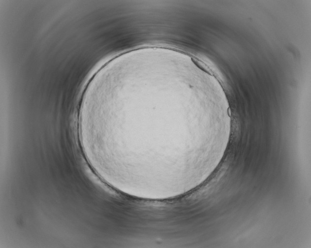 X0000111461100200908241314