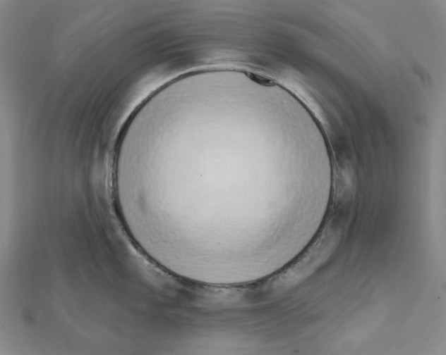 X0000111461101200908241314