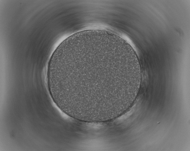 X0000111461103200908241314