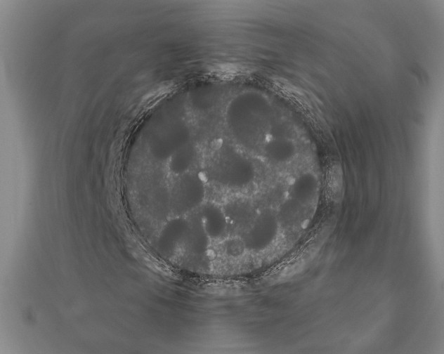 X0000111461105200908241313