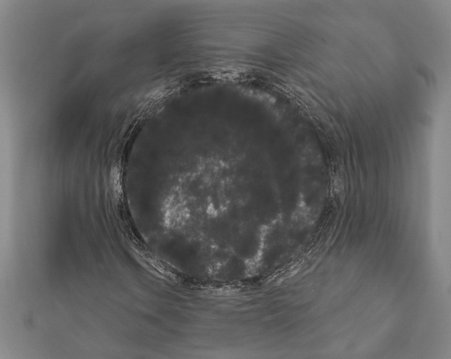 X0000111461106200908241313