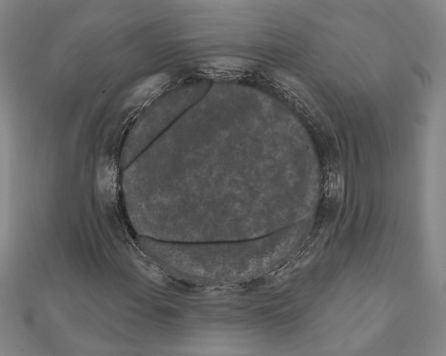 X0000111461108200908241314
