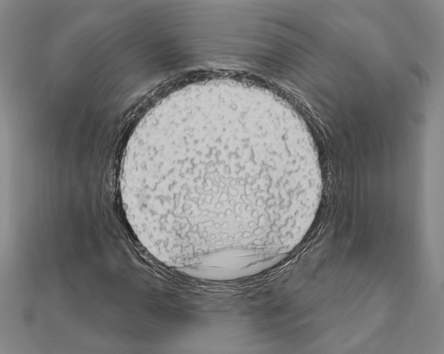 X0000111461110200908241314