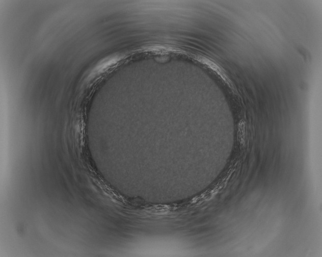 X0000111461111200908241314