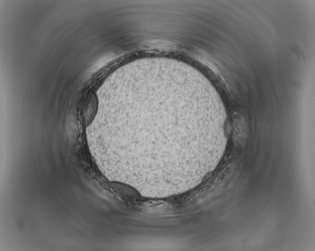 X0000111461112200908241314