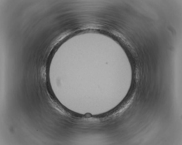 X0000111461113200908241314
