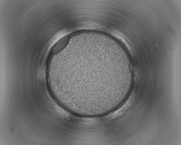 X0000111461114200908241314