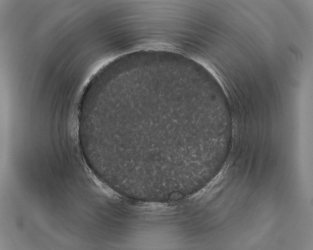 X0000111461115200908241314