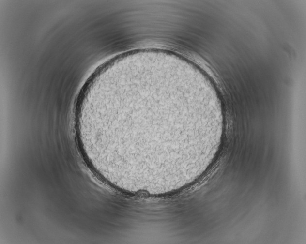 X0000111461116200908241314