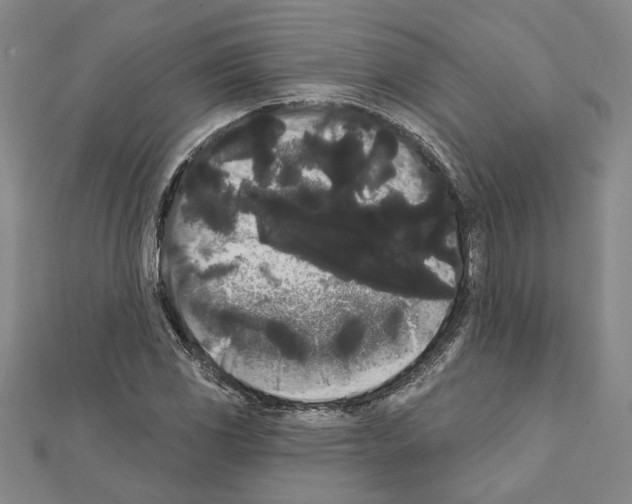X0000111461117200908241314