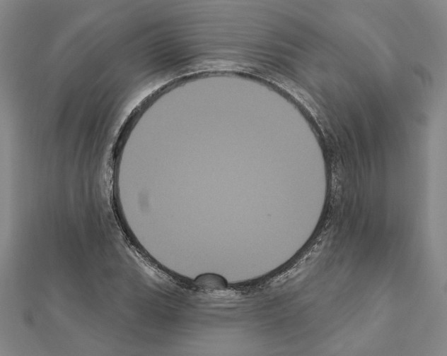 X0000111461119200908241314
