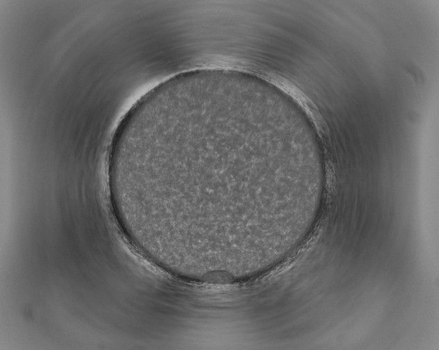 X0000111461120200908241314