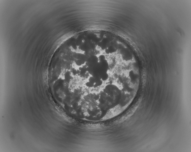 X0000111461121200908241314