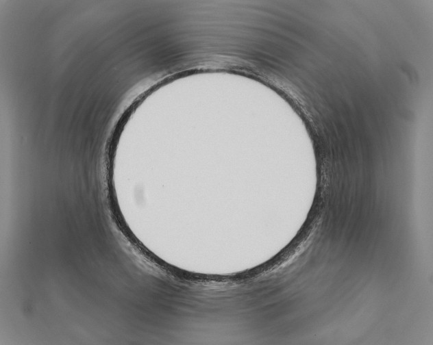 X0000111461122200908241314