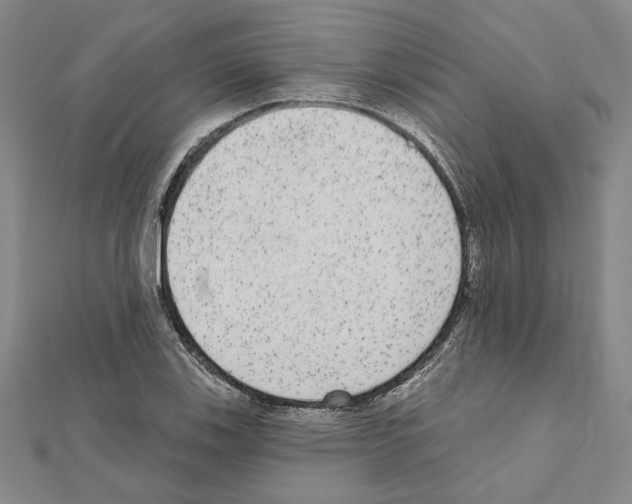 X0000111461123200908241314