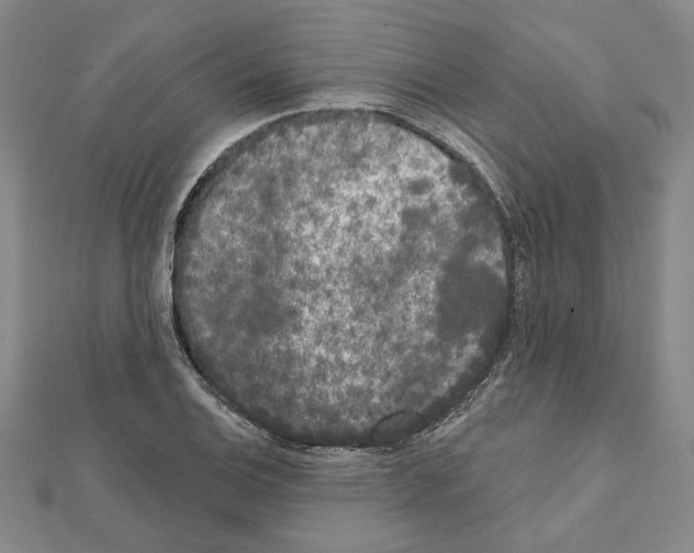 X0000111461124200908241314