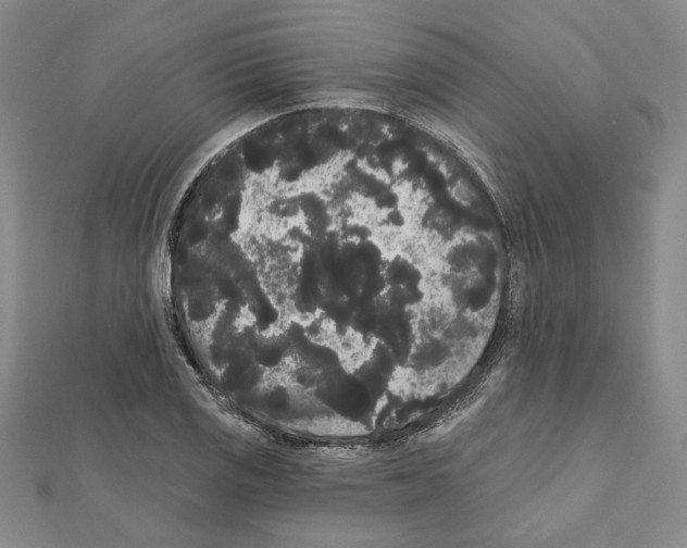 X0000111461125200908241314