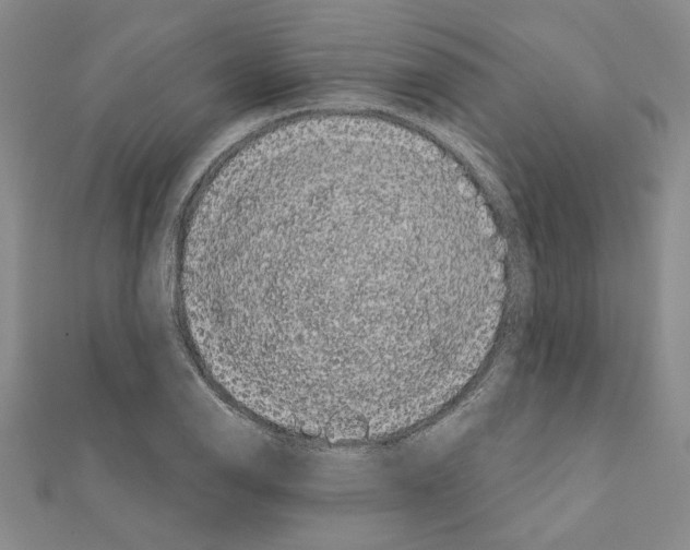 X0000111461126200908241314