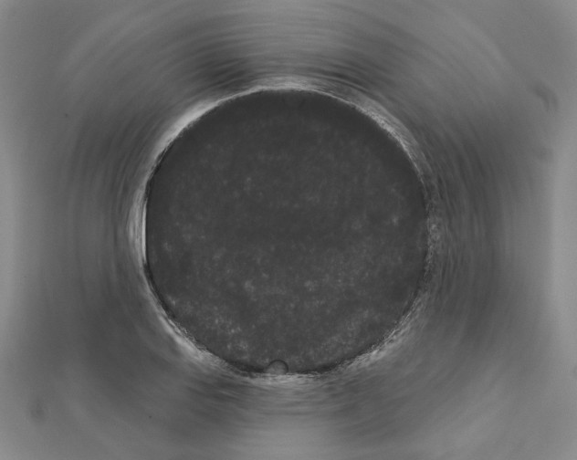X0000111461127200908241314