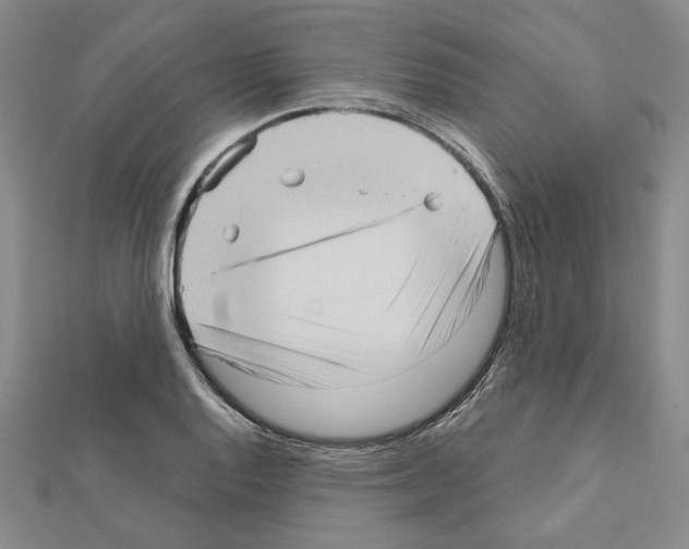 X0000111461128200908241314