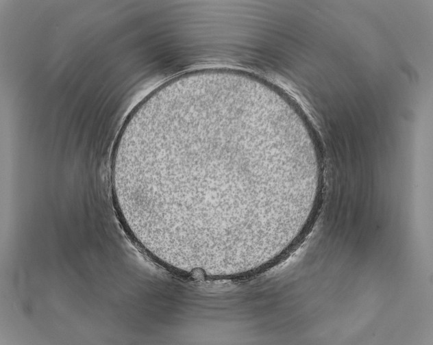X0000111461129200908241314