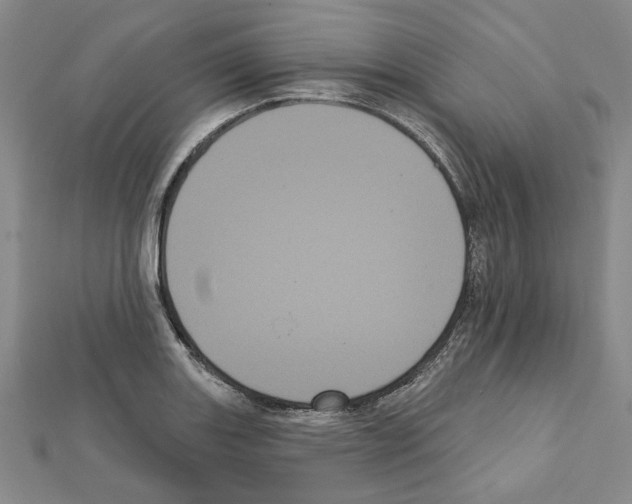 X0000111461131200908241314