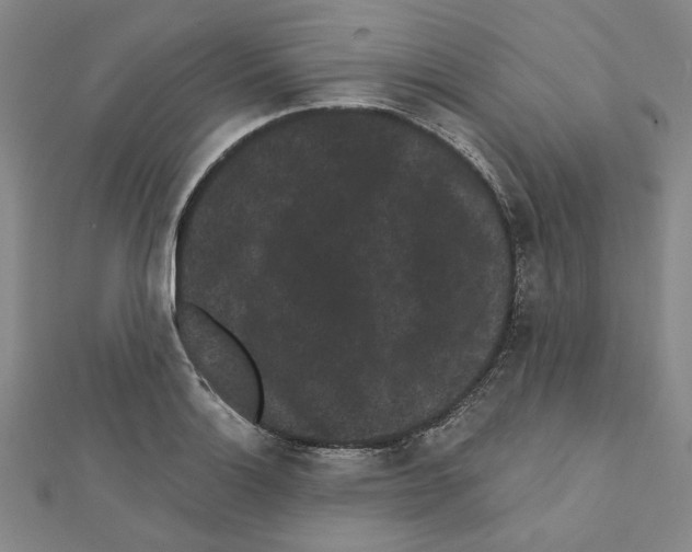 X0000111461132200908241314