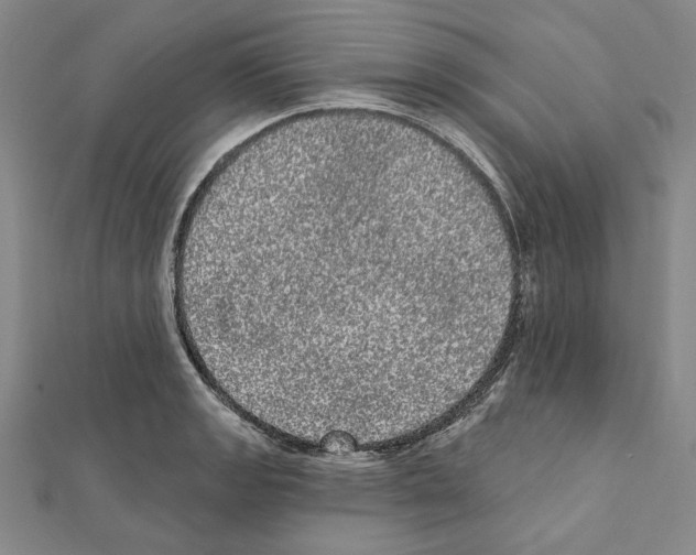 X0000111461133200908241314