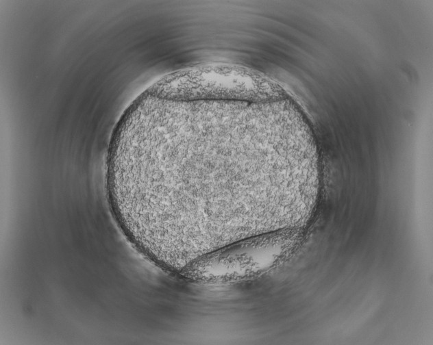 X0000111461134200908241314