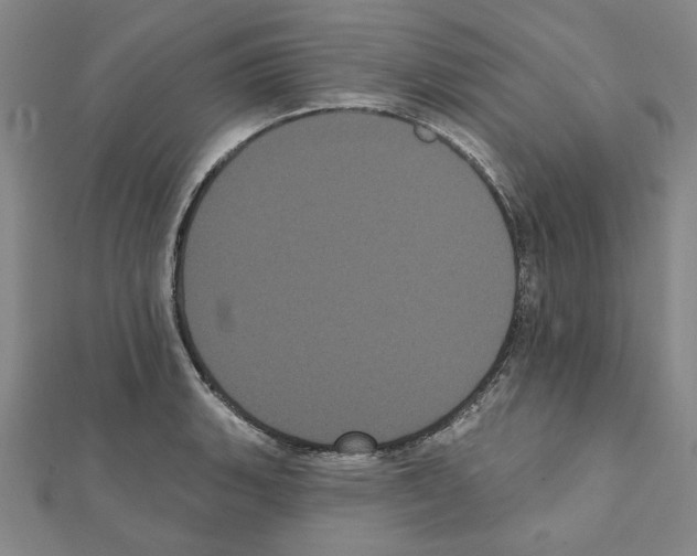 X0000111461135200908241314