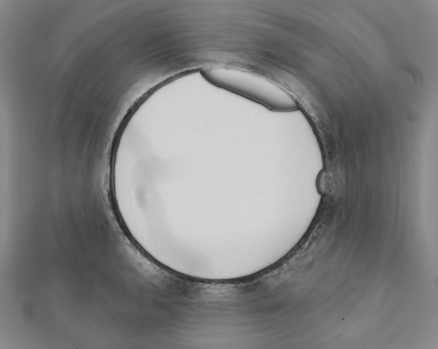 X0000111461136200908241314