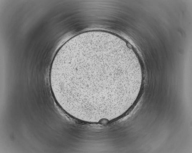 X0000111461137200908241314