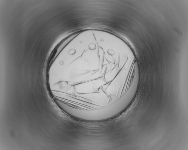 X0000111461138200908241314
