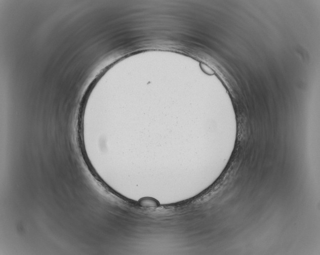 X0000111461139200908241314