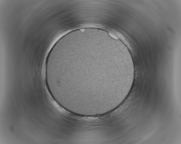 X0000111461140200908241314
