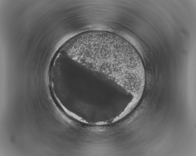 X0000111461141200908241314