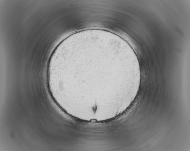 X0000111461142200908241314