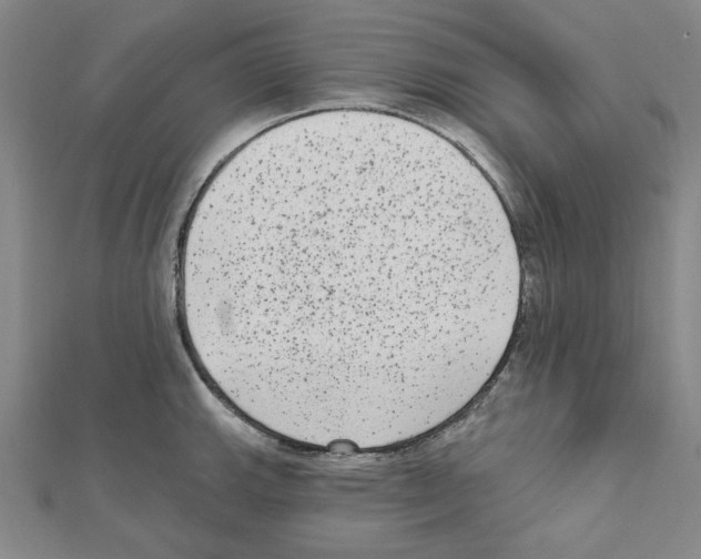 X0000111461143200908241314