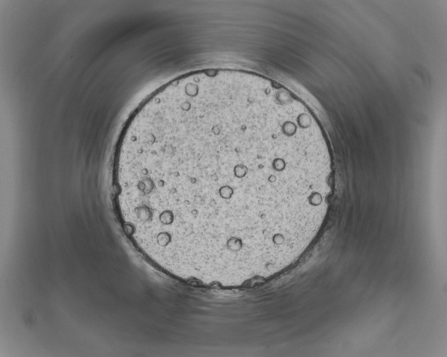 X0000111461144200908241314