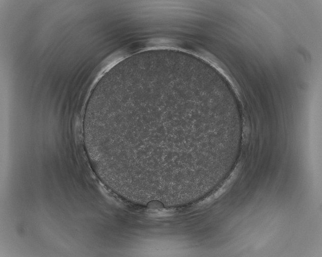 X0000111461145200908241314