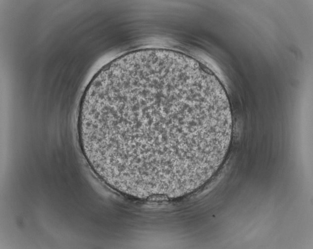 X0000111461146200908241314