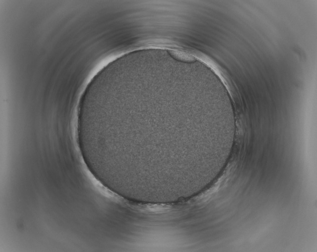 X0000111461147200908241314