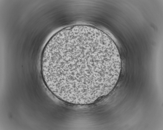 X0000111461148200908241314