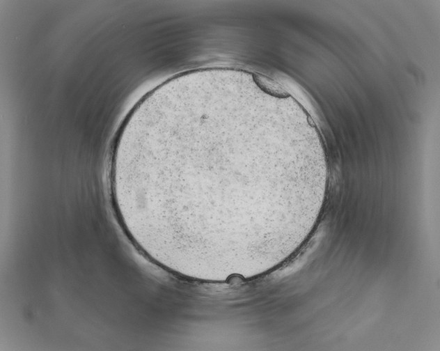 X0000111461149200908241314