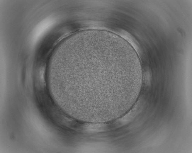 X0000111461150200908241314