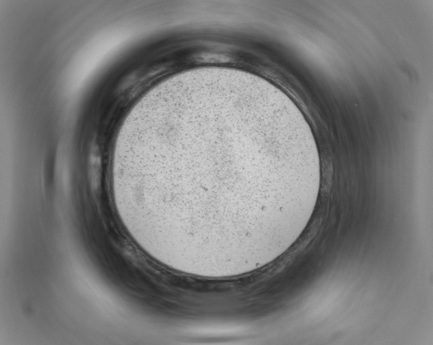 X0000111461151200908241314
